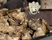 Oysterfest II - the sequel